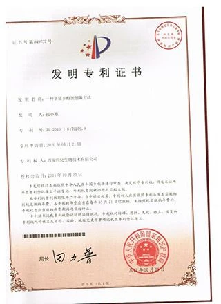 Apple's patent Apple's patent