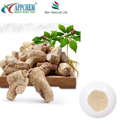 امریکن Ginseng ایکسٹریکٹ پاؤڈر