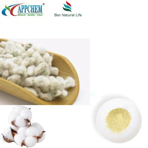 روئی کے بیج کا نچوڑ پاؤڈر