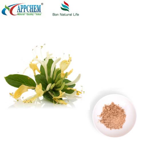 Flos Lonicerae ایکسٹریکٹ پاؤڈر