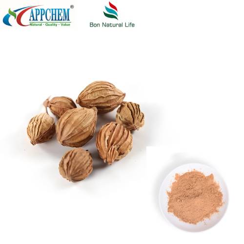 Fructus Amomi ایکسٹریکٹ پاؤڈر