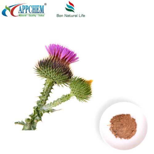 دودھ تھیسل کے بیجوں کا عرق