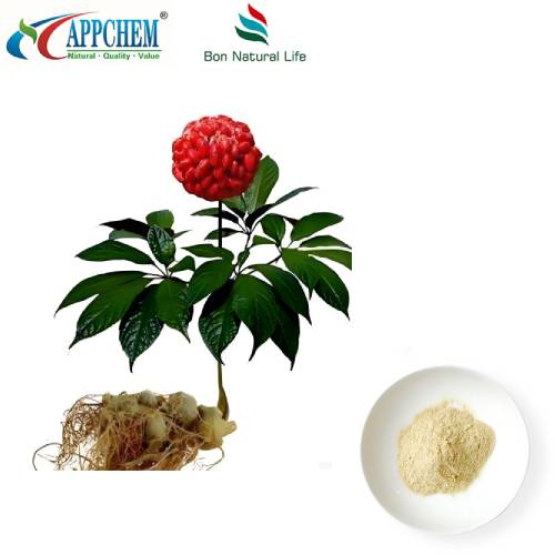 Notoginseng روٹ ایکسٹریکٹ