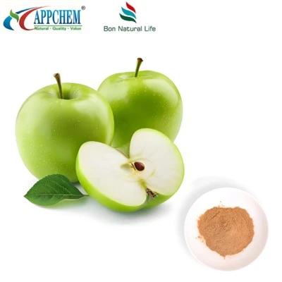 Apple Extract Procyanidin B2 HPLC ٹیسٹ 29106-49-8