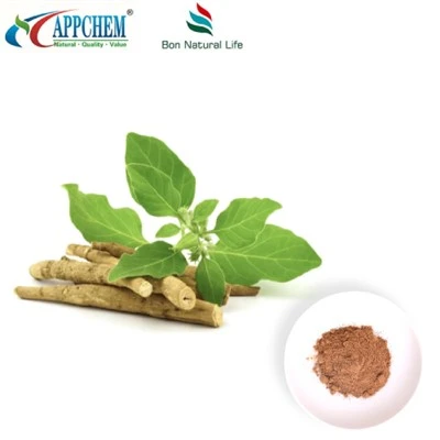 اشواگندھا ایکسٹریکٹ پاؤڈر (ویتنولائڈز) 30655-48-2 تیار کریں