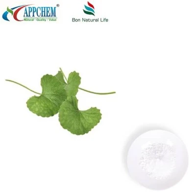 Centella Asiatica ایکسٹریکٹ پاؤڈر