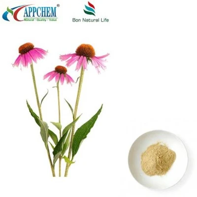 Echinacea Purpurea ایکسٹریکٹ پاؤڈر