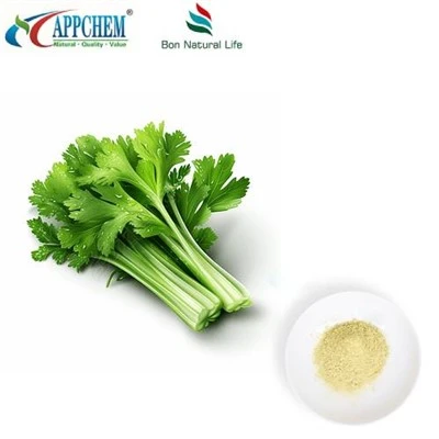 خالص اپیگینن